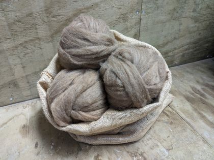 Merino roving moorit/brown colour ready to spin 100g
